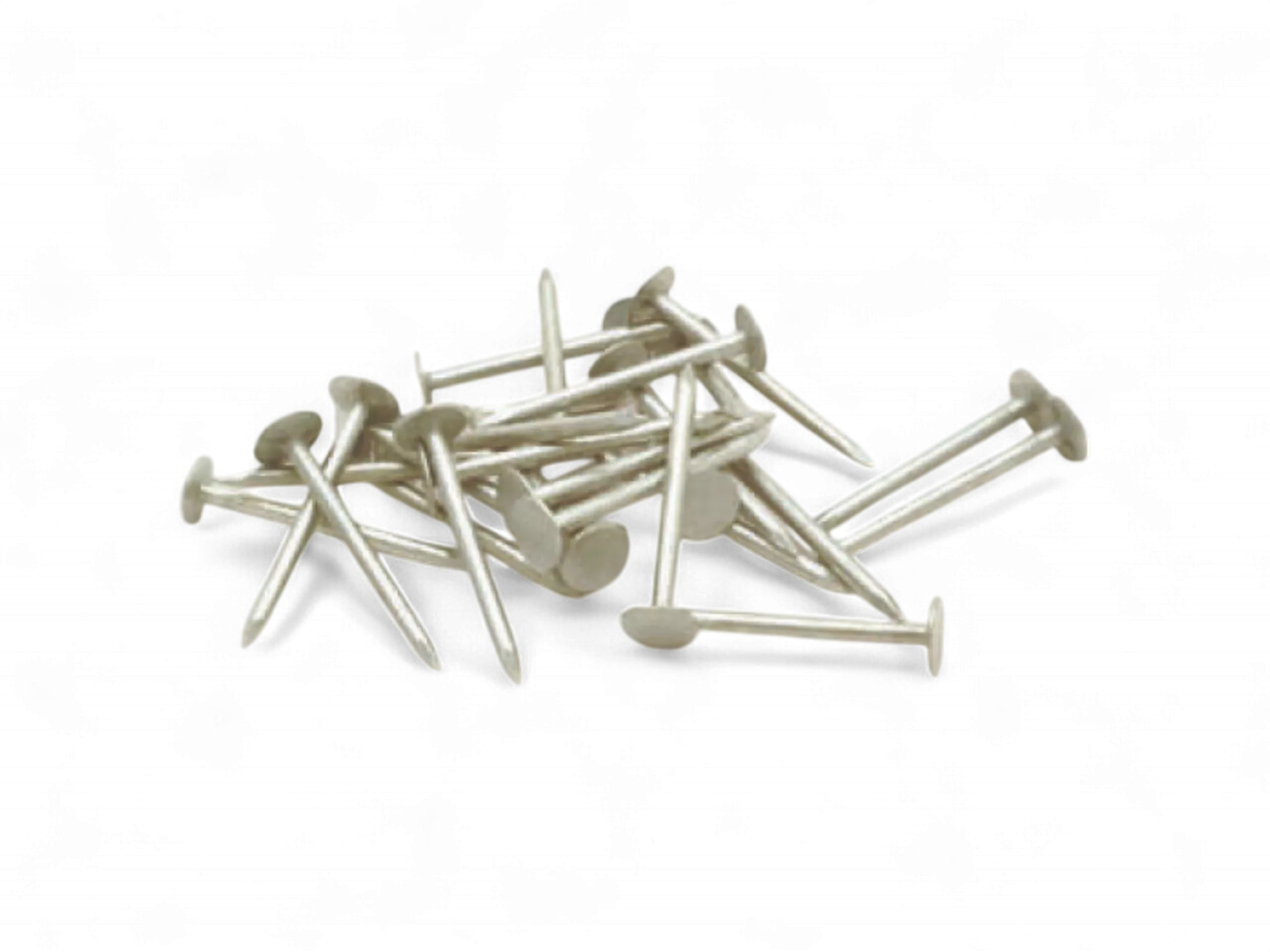 Singil Nail (Thin Wire Nail)