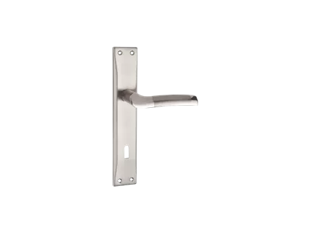 Kayra Door Handle