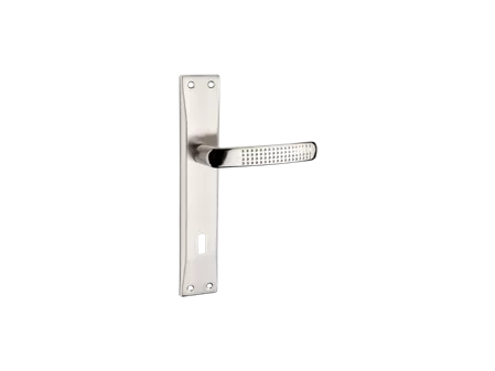 Dilara Door Handle