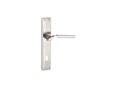Azra Door Handle